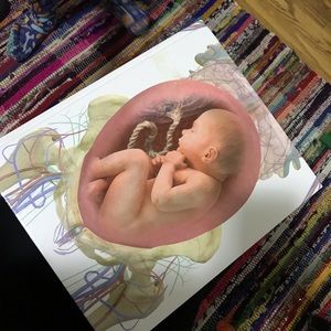 The pregnancy body book